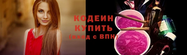 спиды Дмитриев