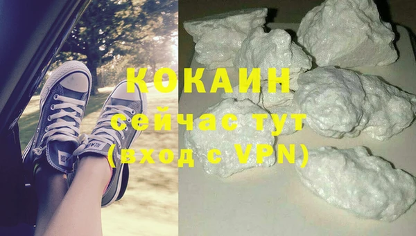 мдпв Ельня