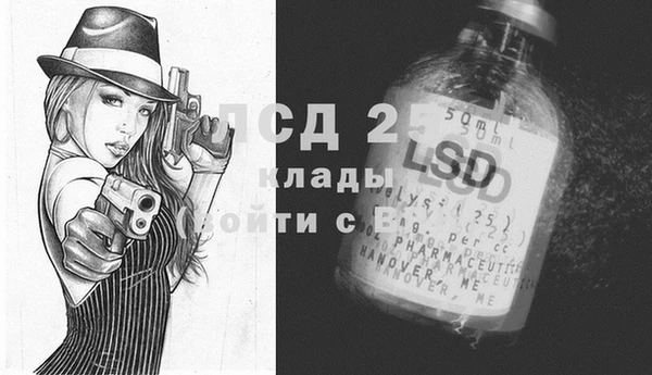 скорость Елизово
