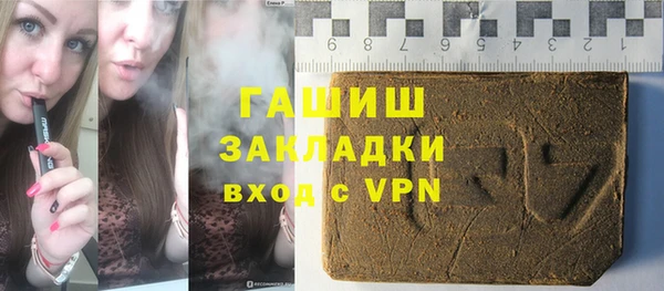 мдпв Ельня