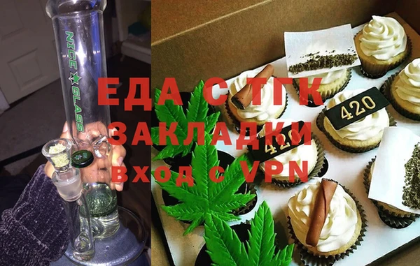 мдпв Ельня