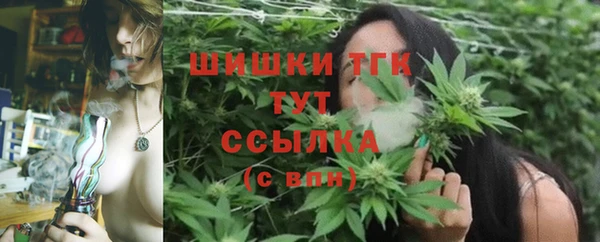 скорость Елизово
