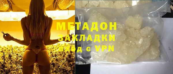 мдпв Ельня