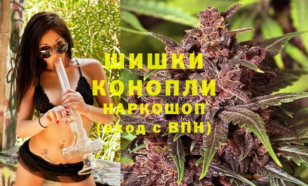спиды Дмитриев