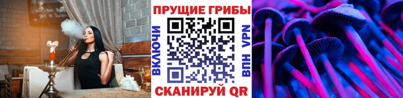 Псилоцибиновые грибы GOLDEN TEACHER  площадка состав  Красноярск 